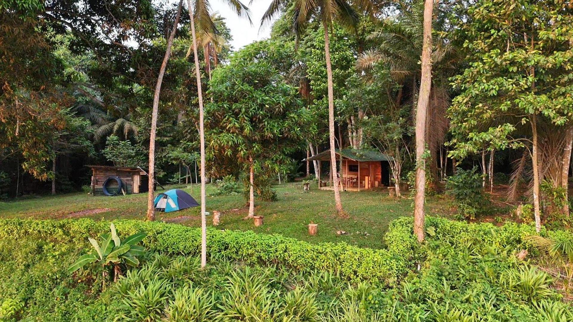 World'S View Wild Camping Salaszoi, Principe Island Santo António Dış mekan fotoğraf